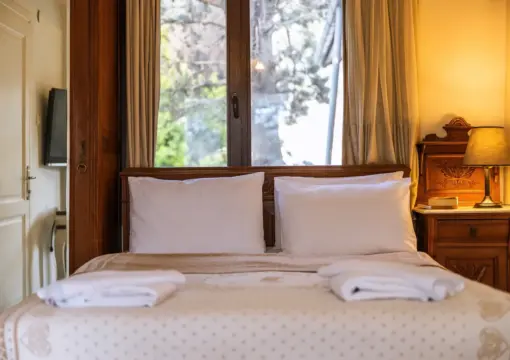 Çift Kişilik Nehir Manzaralı ve Şömineli Oda